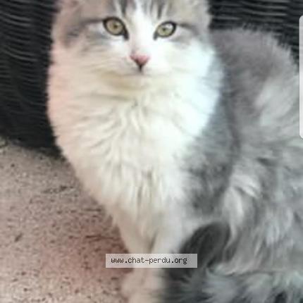 chat-avenue com martigues chat-avenue com martigues